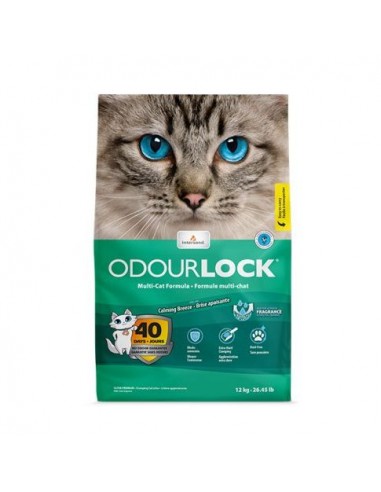 Intersand Odourlock clay litter for cats - the smell of soothing wind