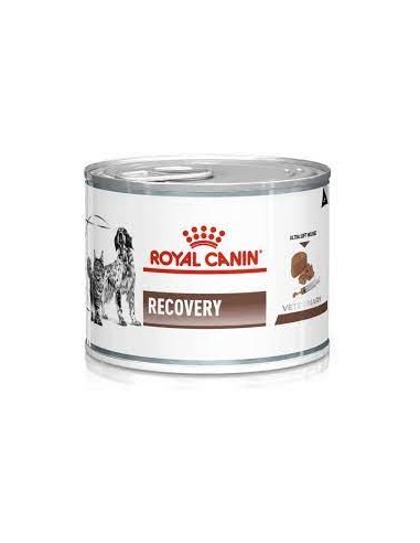 Royal Canin dog/cat Recovery konservuotas ėdalas