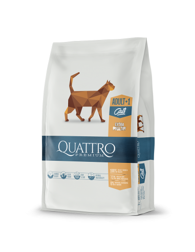 Quattro Extra Poultry with poultry dry cat food